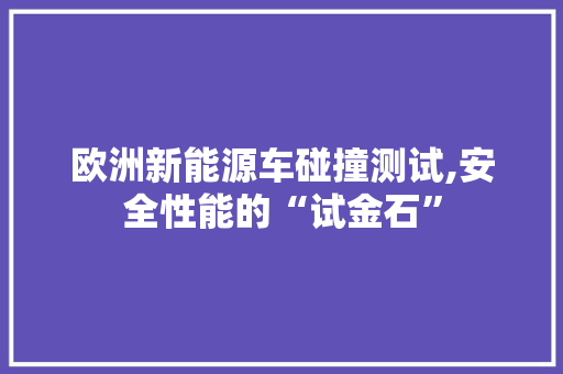 欧洲新能源车碰撞测试,安全性能的“试金石”