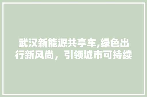 武汉新能源共享车,绿色出行新风尚，引领城市可持续发展