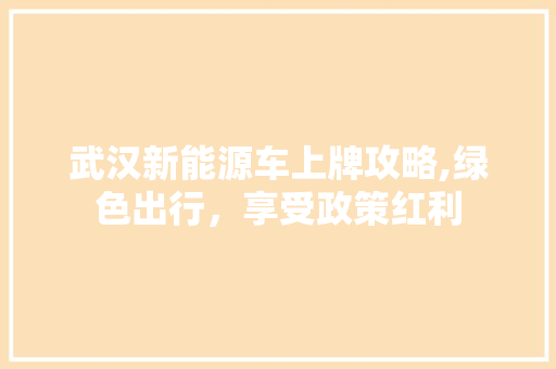 武汉新能源车上牌攻略,绿色出行，享受政策红利