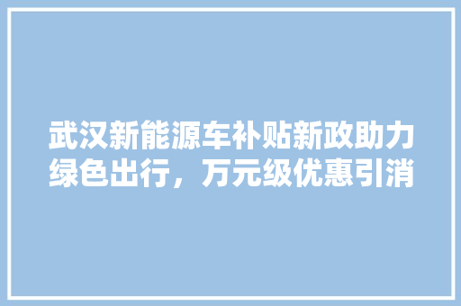 武汉新能源车补贴新政助力绿色出行，万元级优惠引消费者关注