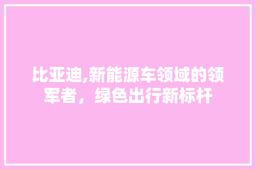 比亚迪,新能源车领域的领军者，绿色出行新标杆