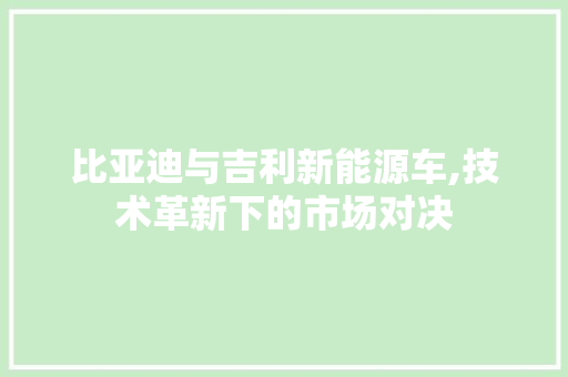 比亚迪与吉利新能源车,技术革新下的市场对决