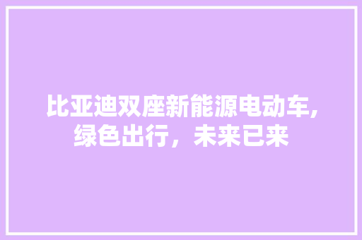 比亚迪双座新能源电动车,绿色出行，未来已来