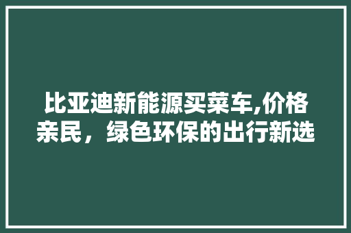 比亚迪新能源买菜车,价格亲民，绿色环保的出行新选择