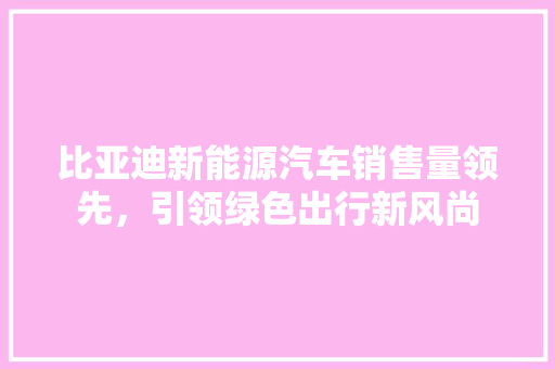 比亚迪新能源汽车销售量领先，引领绿色出行新风尚
