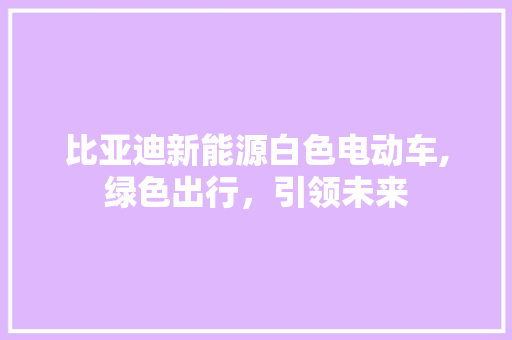 比亚迪新能源白色电动车,绿色出行，引领未来 发动机配件