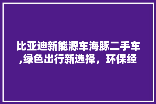 比亚迪新能源车海豚二手车,绿色出行新选择，环保经济两不误