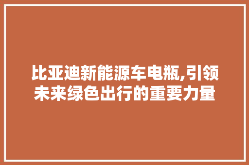 比亚迪新能源车电瓶,引领未来绿色出行的重要力量 底盘配件