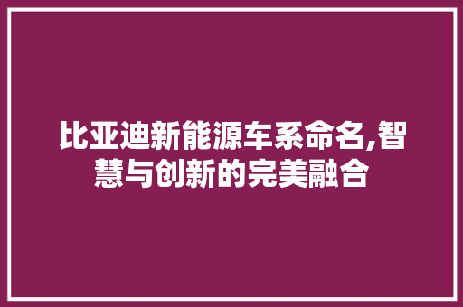 比亚迪新能源车系命名,智慧与创新的完美融合