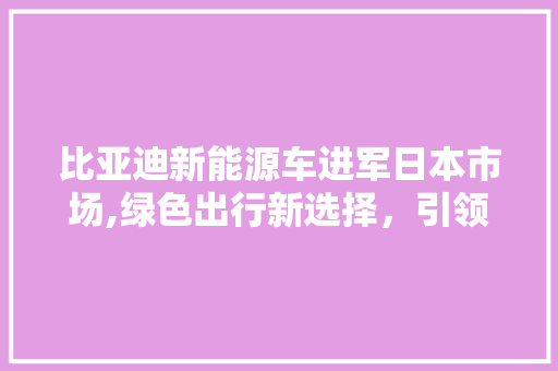 比亚迪新能源车进军日本市场,绿色出行新选择，引领未来出行潮流 车身配件