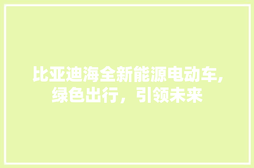 比亚迪海全新能源电动车,绿色出行，引领未来