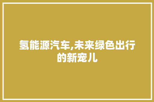 氢能源汽车,未来绿色出行的新宠儿