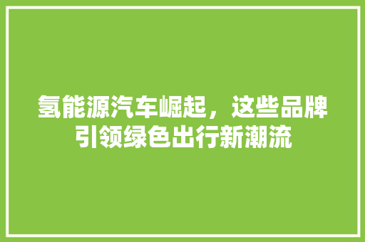 氢能源汽车崛起，这些品牌引领绿色出行新潮流
