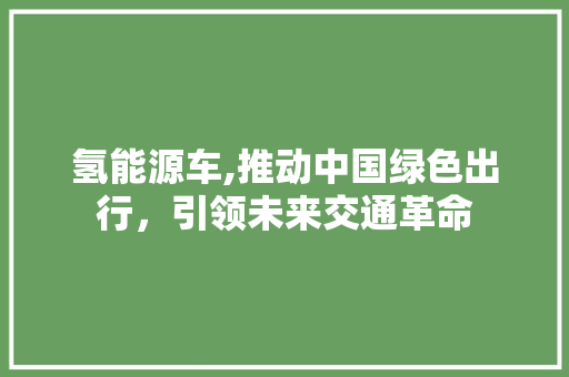 氢能源车,推动中国绿色出行，引领未来交通革命 车身配件