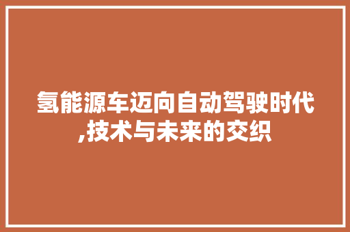 氢能源车迈向自动驾驶时代,技术与未来的交织