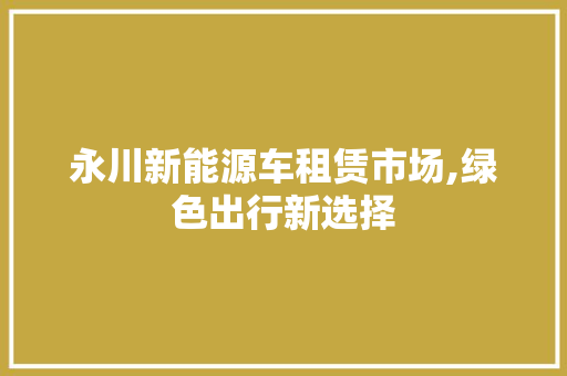 永川新能源车租赁市场,绿色出行新选择