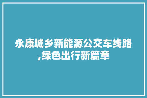 永康城乡新能源公交车线路,绿色出行新篇章