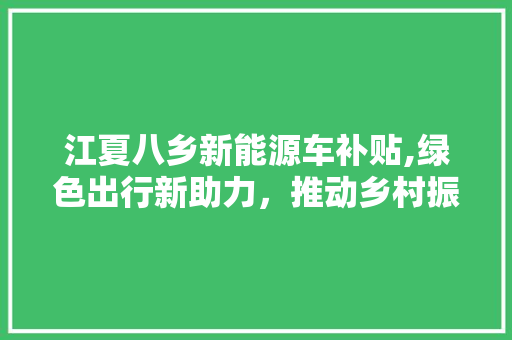 江夏八乡新能源车补贴,绿色出行新助力，推动乡村振兴
