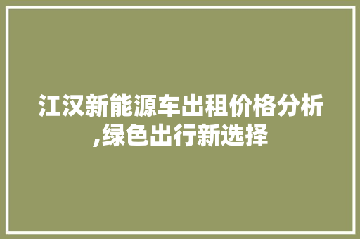 江汉新能源车出租价格分析,绿色出行新选择 汽车配件