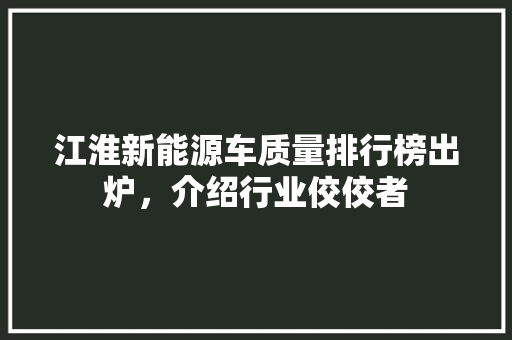 江淮新能源车质量排行榜出炉，介绍行业佼佼者