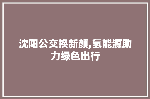 沈阳公交换新颜,氢能源助力绿色出行