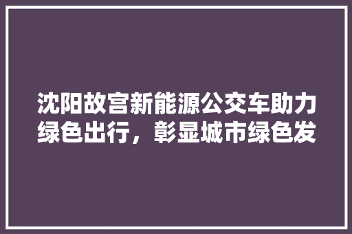 沈阳故宫新能源公交车助力绿色出行，彰显城市绿色发展新风尚