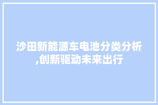 沙田新能源车电池分类分析,创新驱动未来出行