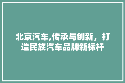 北京汽车,传承与创新，打造民族汽车品牌新标杆 汽车配件