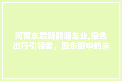 河南东启新能源车业,绿色出行引领者，股东眼中的未来之星