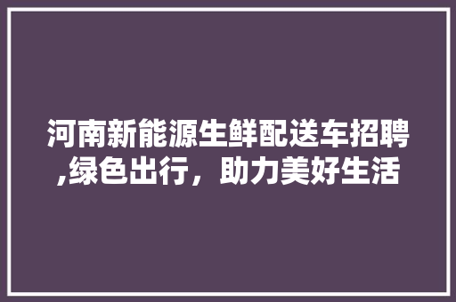 河南新能源生鲜配送车招聘,绿色出行，助力美好生活 蓄电池配件