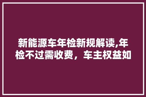 新能源车年检新规解读,年检不过需收费，车主权益如何保障