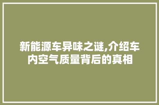 新能源车异味之谜,介绍车内空气质量背后的真相