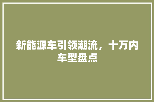 新能源车引领潮流，十万内车型盘点