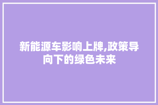 新能源车影响上牌,政策导向下的绿色未来