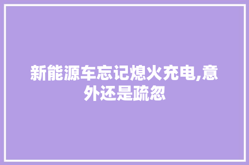新能源车忘记熄火充电,意外还是疏忽