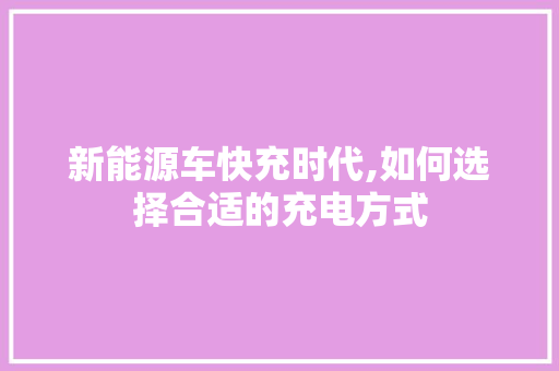 新能源车快充时代,如何选择合适的充电方式