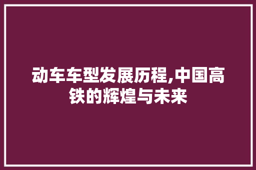 动车车型发展历程,中国高铁的辉煌与未来