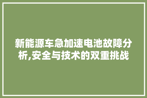 新能源车急加速电池故障分析,安全与技术的双重挑战