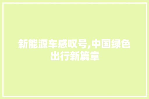 新能源车感叹号,中国绿色出行新篇章
