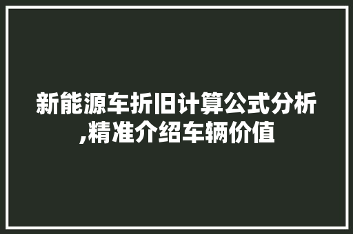 新能源车折旧计算公式分析,精准介绍车辆价值
