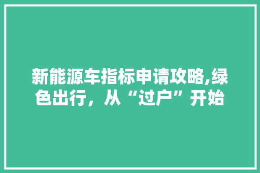 新能源车指标申请攻略,绿色出行，从“过户”开始