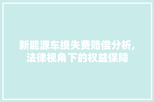 新能源车损失费赔偿分析,法律视角下的权益保障