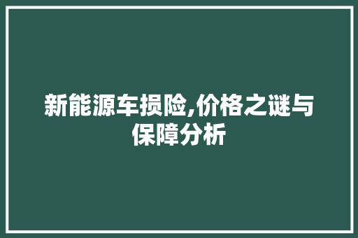 新能源车损险,价格之谜与保障分析