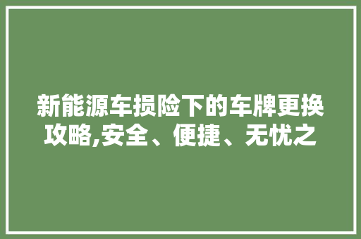 新能源车损险下的车牌更换攻略,安全、便捷、无忧之旅