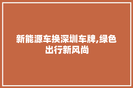 新能源车换深圳车牌,绿色出行新风尚