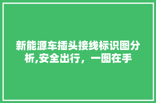 新能源车插头接线标识图分析,安全出行，一图在手
