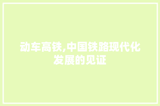 动车高铁,中国铁路现代化发展的见证