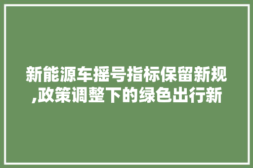 新能源车摇号指标保留新规,政策调整下的绿色出行新机遇