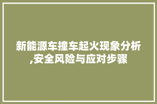 新能源车撞车起火现象分析,安全风险与应对步骤