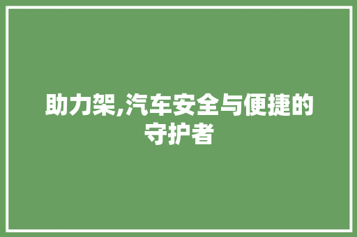 助力架,汽车安全与便捷的守护者